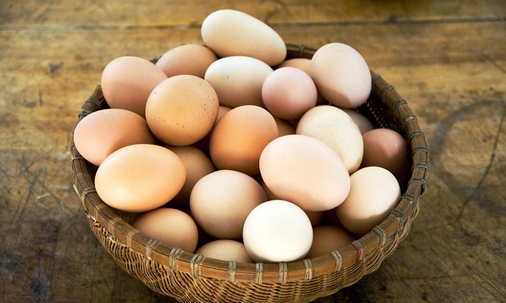 diversification-eggs-in-one-basket-730x438.jpg