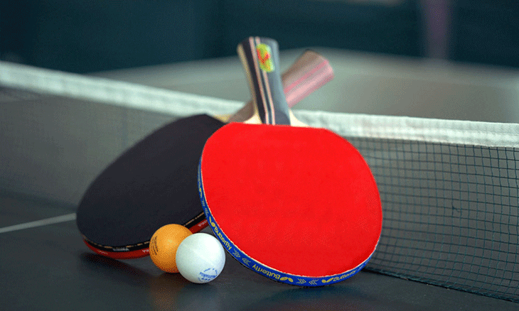 table-tennis-730x438.gif